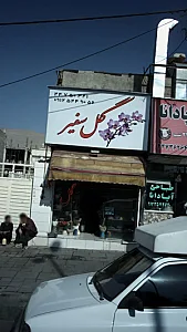 گل سفیر
