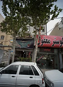 گل سرای کاملیا