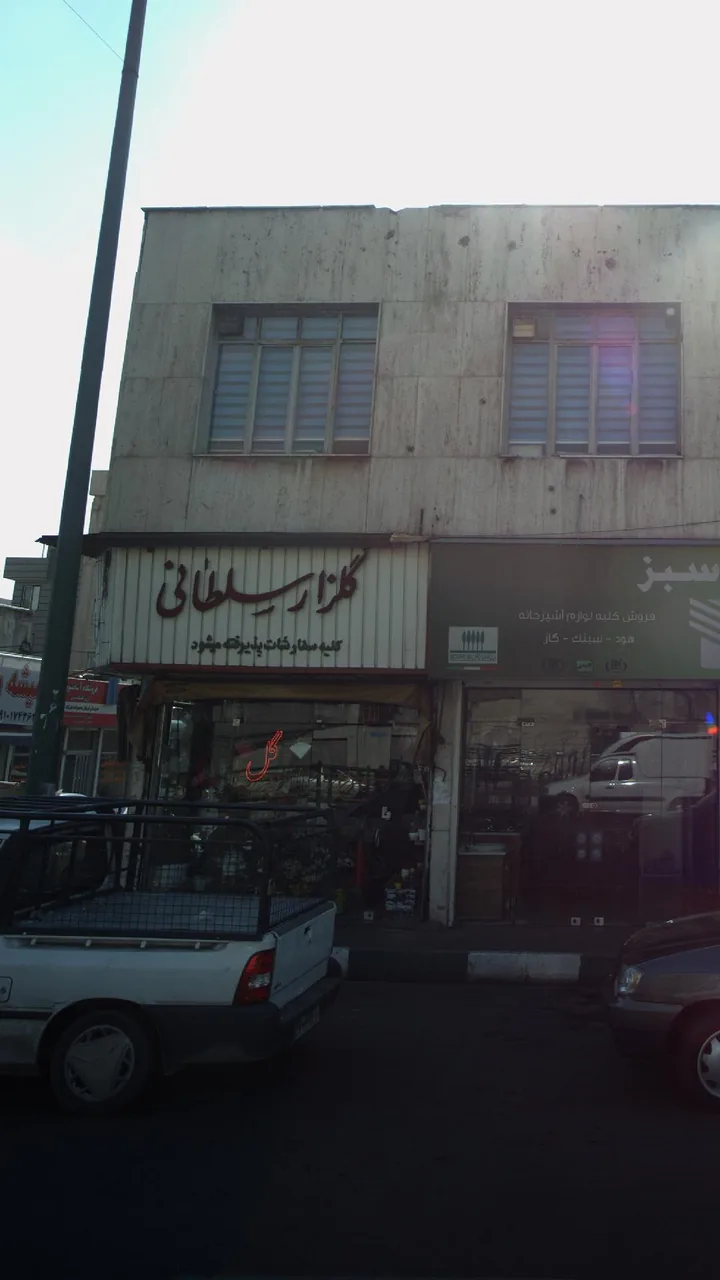 گلزار سلطانی - تصویر 2