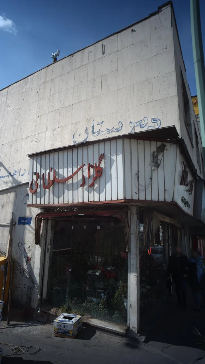 گلزار سلطانی - تصویر 3