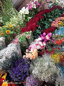 گل سرای امیر