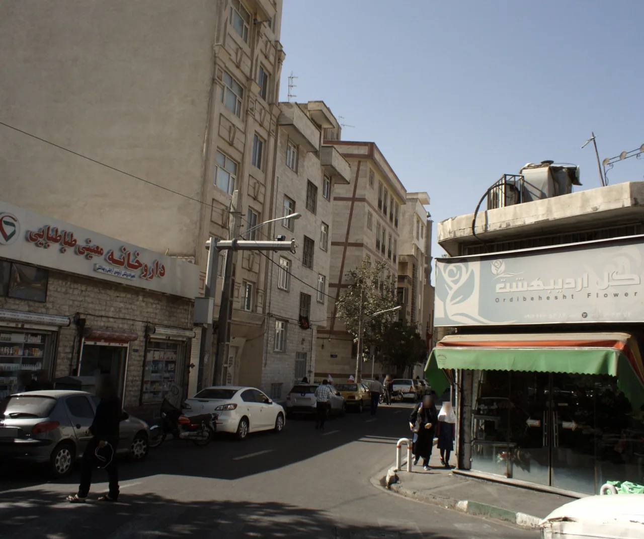 گل اردیبهشت