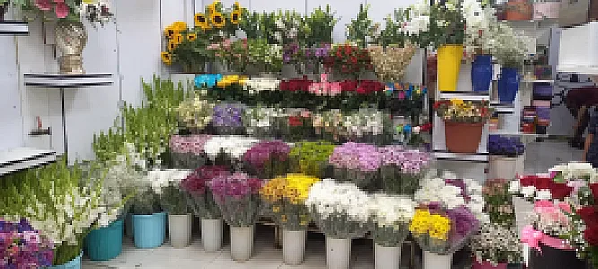گل فروشی اتریش