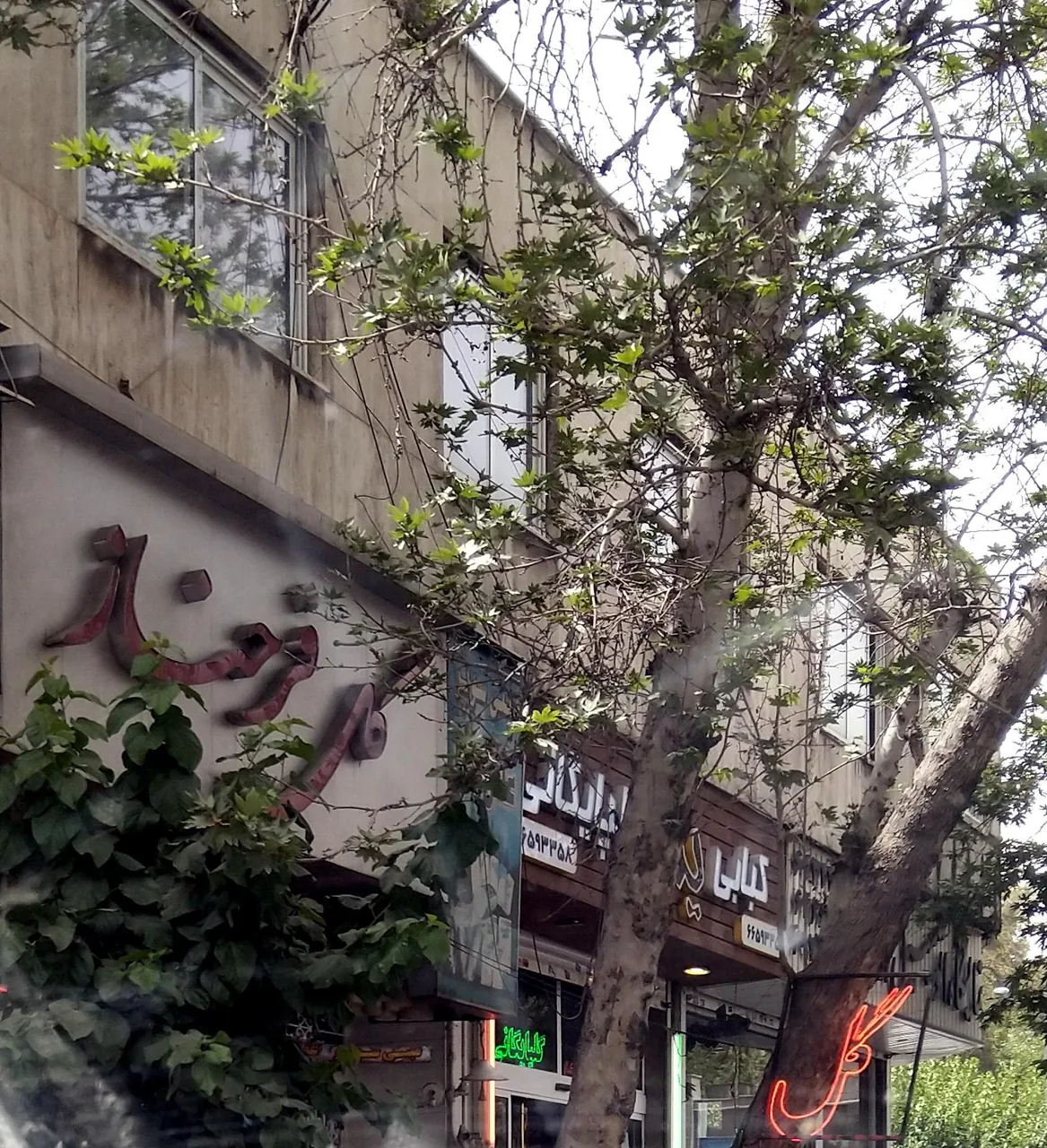 گل فروشی فرحناز