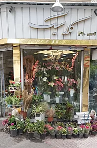 گل فروشی کلاسیک روز