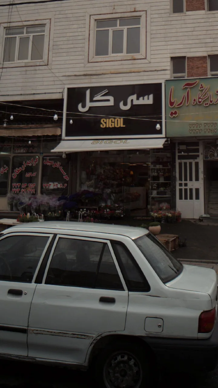 سی گل