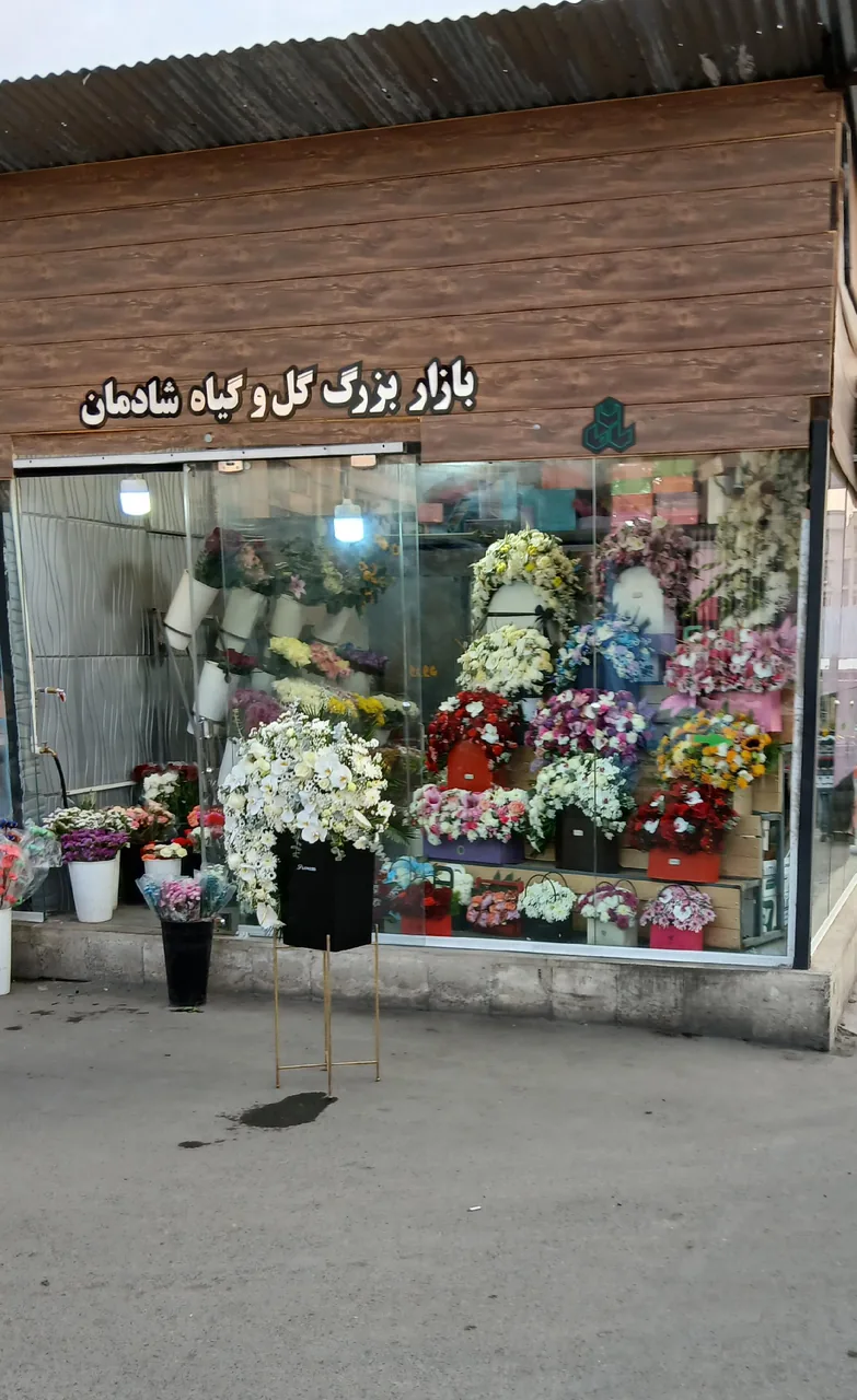 گل الما - تصویر 4