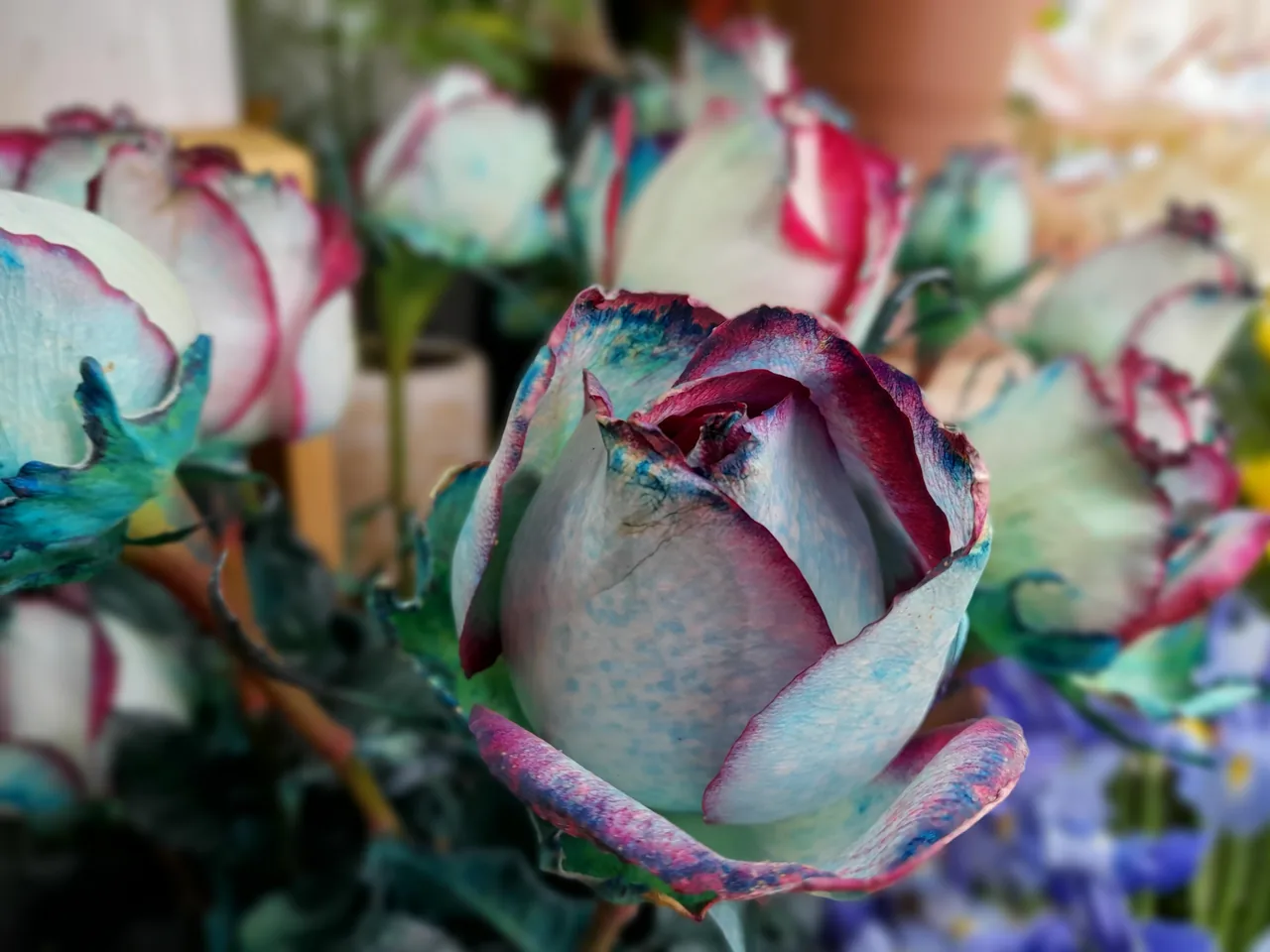 گالری گل مریم - تصویر 2