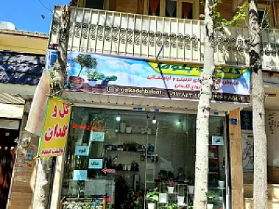 گل فروشی بلوط