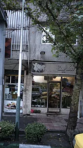 ساینا