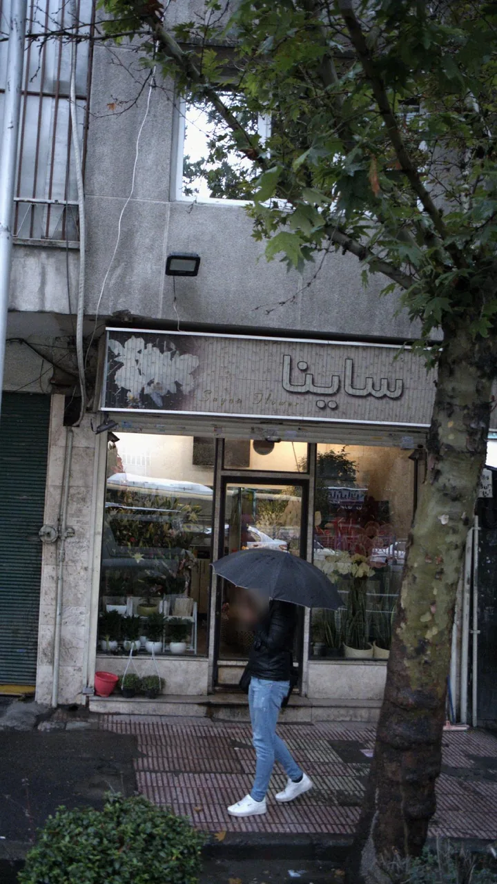ساینا - تصویر 2