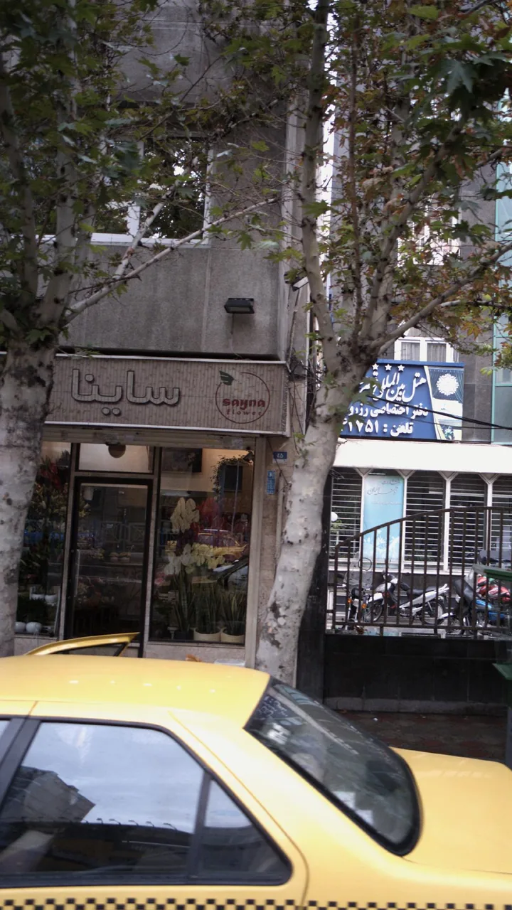 ساینا - تصویر 3