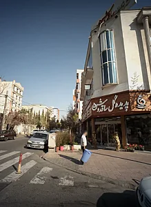 پدیده گل ساقدوش