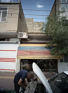 گل سرای میخک طلایی