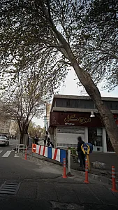 موج گل
