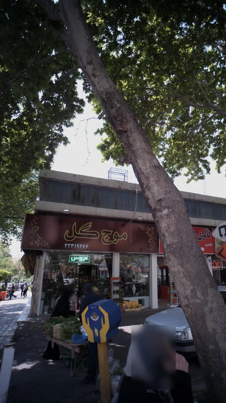 موج گل - تصویر 2