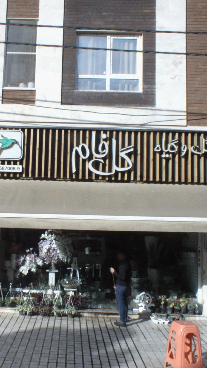 گل وگیاه گل فام