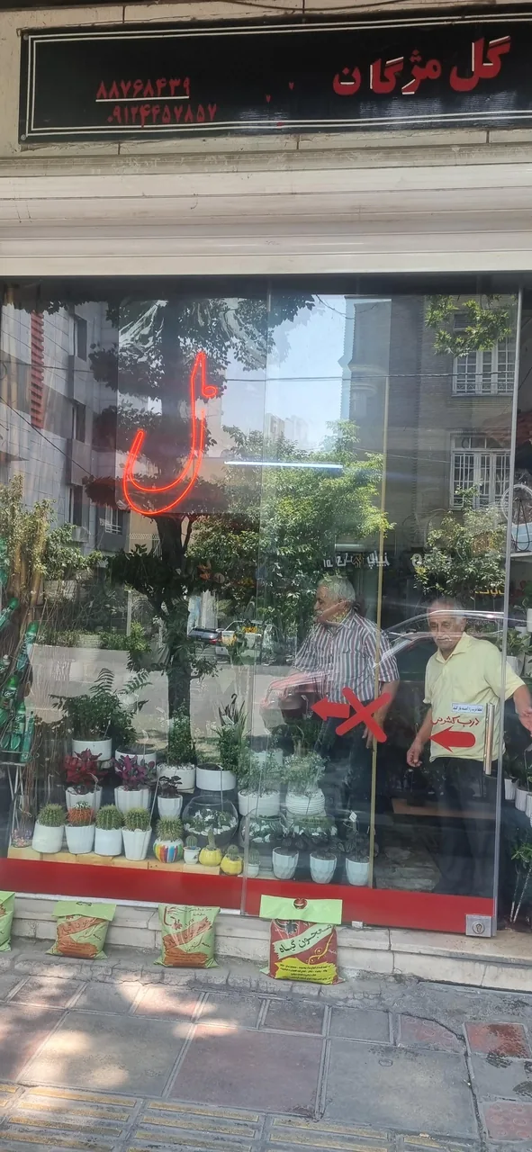 گل فروشی مژگان - تصویر 3
