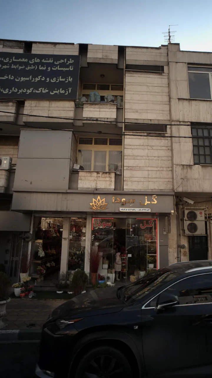 گل سِودا