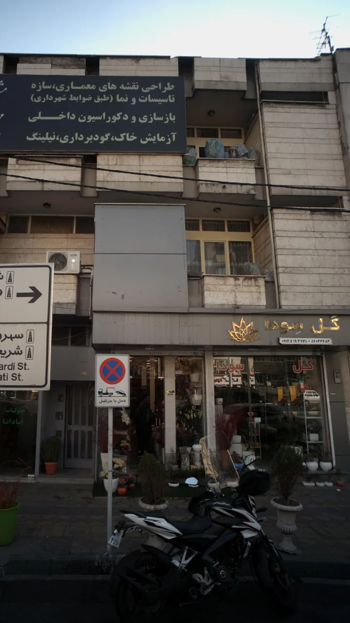 گل سِودا - تصویر 2
