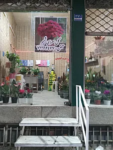 گل سرای شمیم