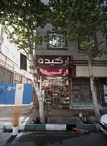 گل فروشی ارکیده