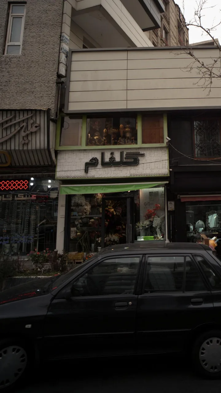 گلفام