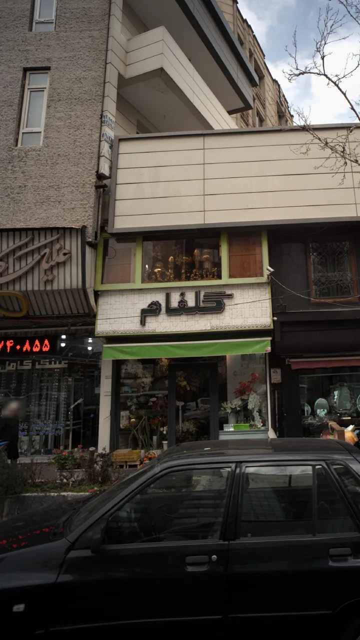 گلفام - تصویر 2