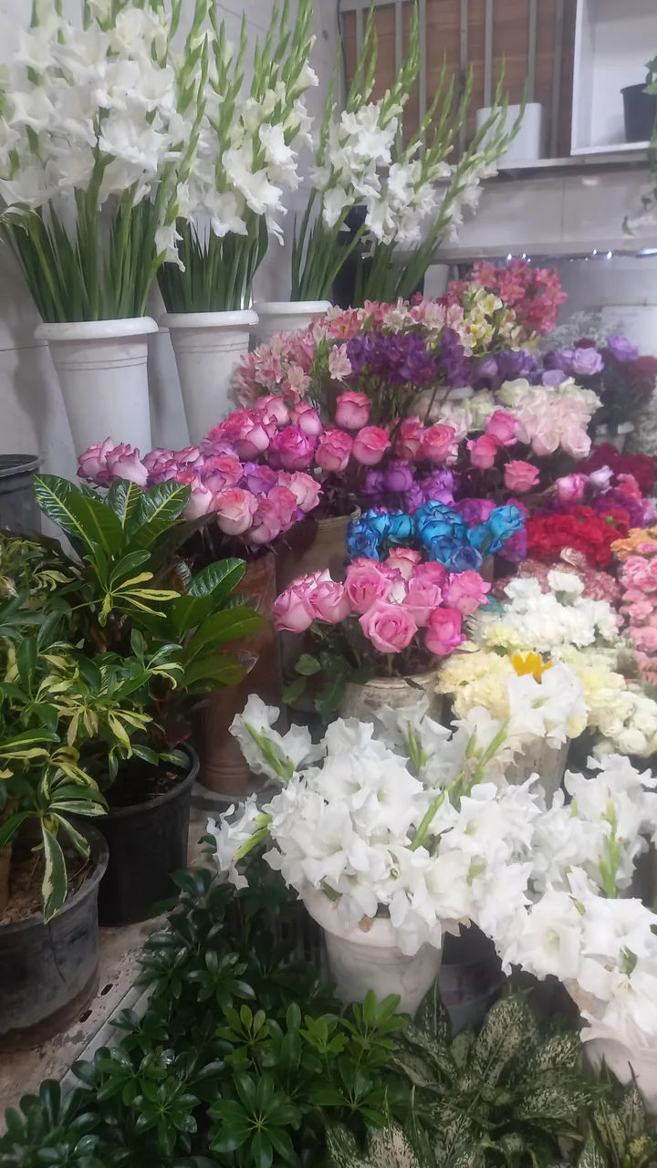 قصر گل شقایق