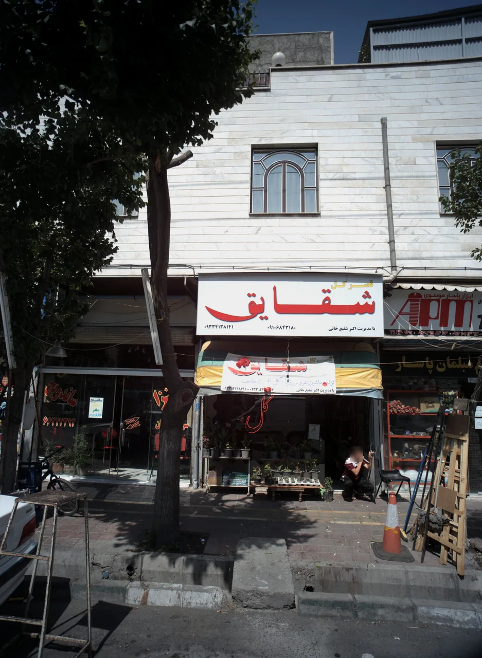 قصر گل شقایق - تصویر 5