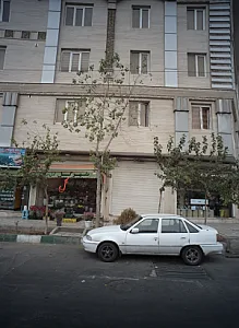 شهرگل