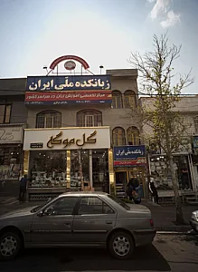 گل موگه
