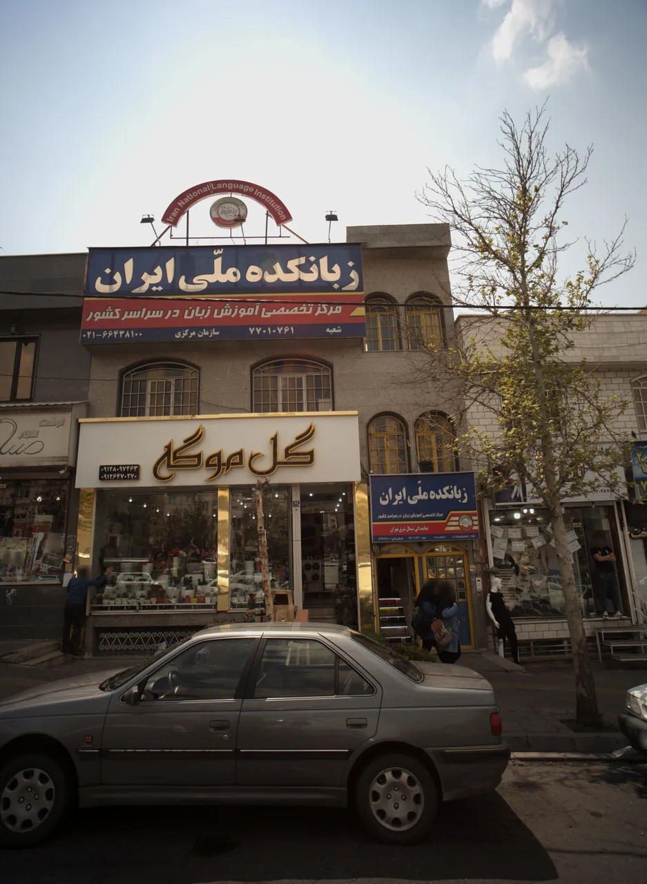 گل موگه
