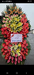 سوپر گل شقایق