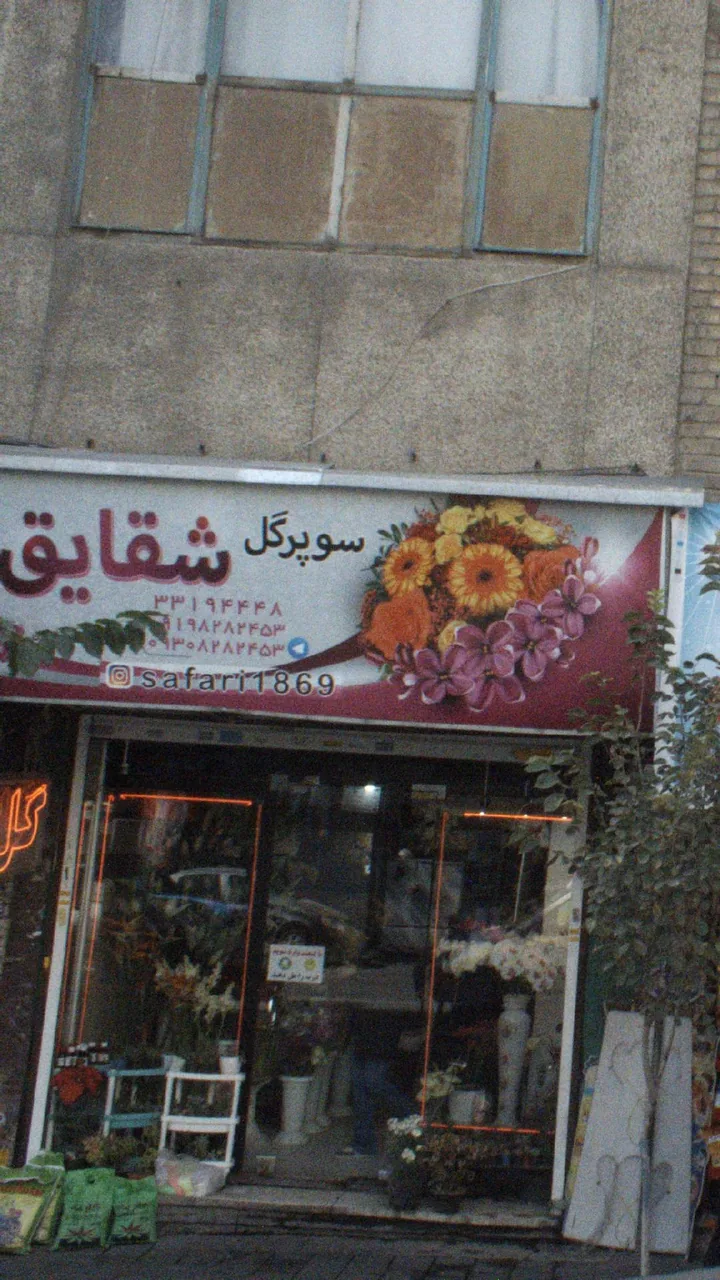 سوپر گل شقایق - تصویر 3