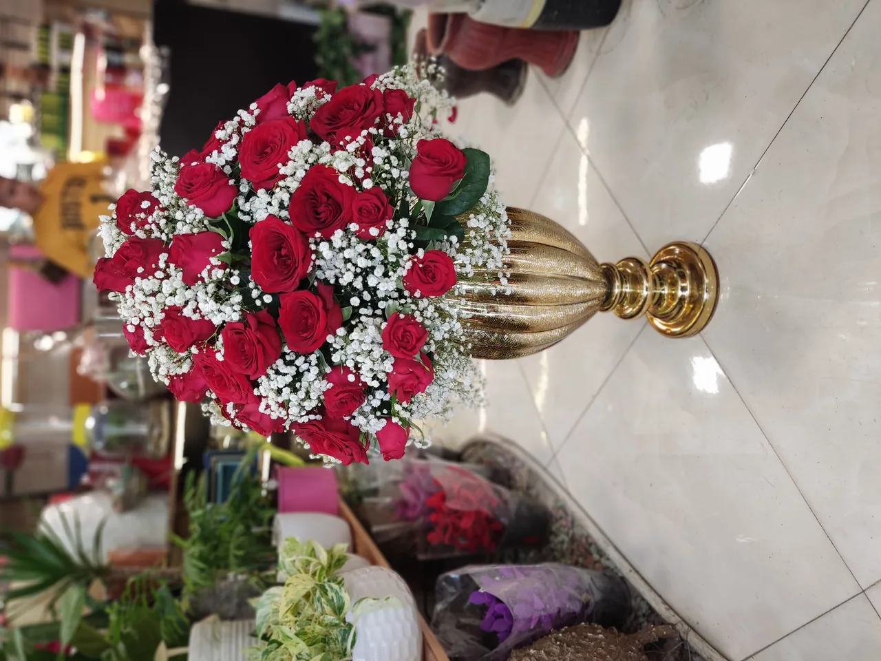 گلکده شقایق - تصویر 2