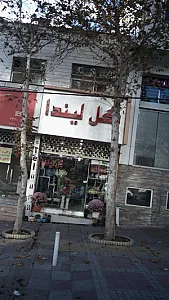 گل لیندا