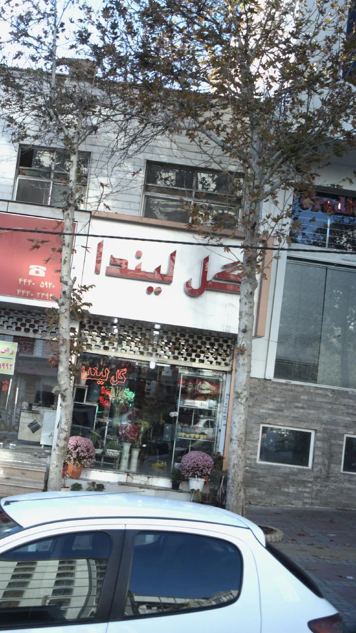 گل لیندا - تصویر 2