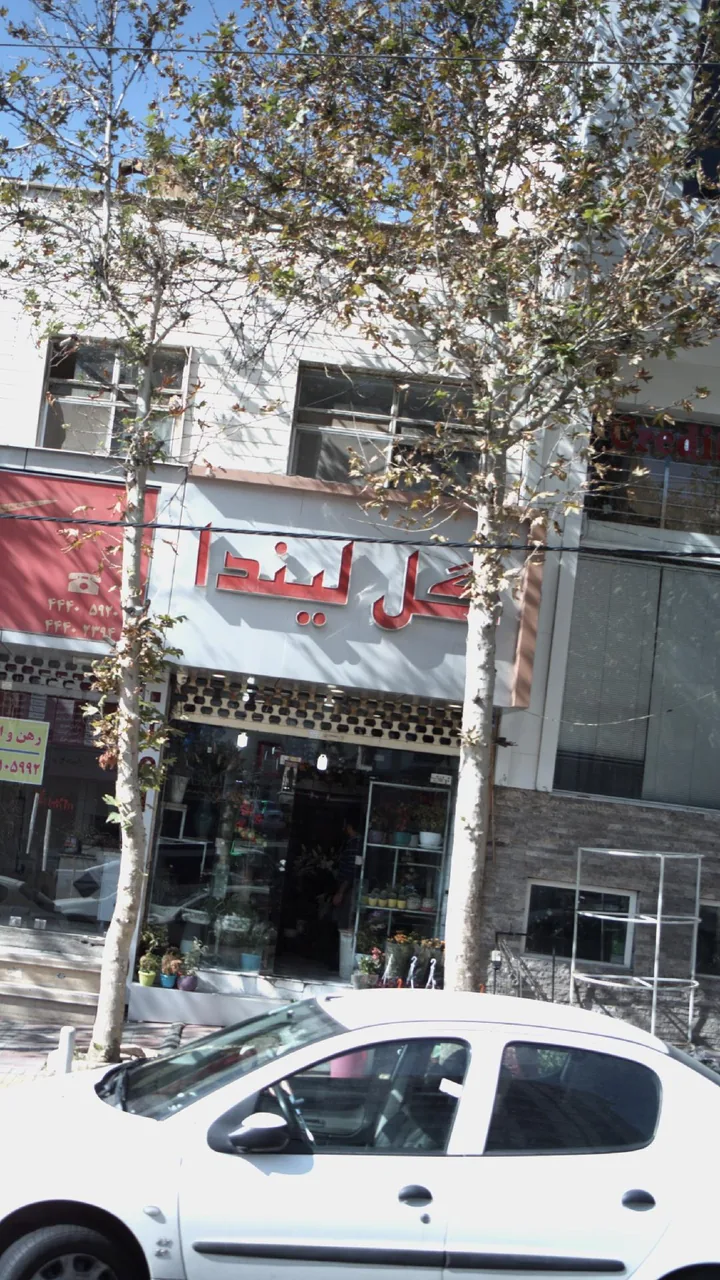 گل لیندا - تصویر 3