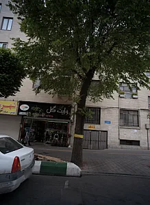 وایت گل