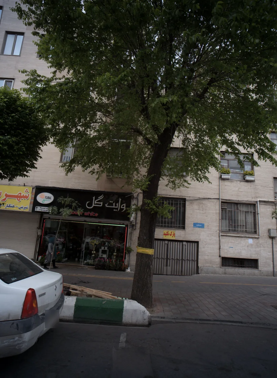 وایت گل