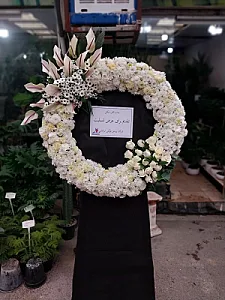 گل مگنولیا