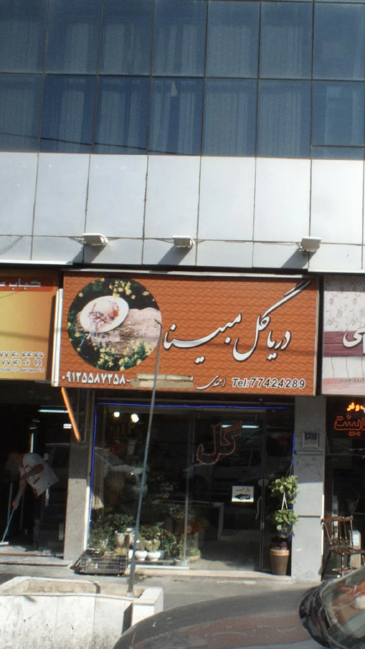 دریا گل مبینا - تصویر 2