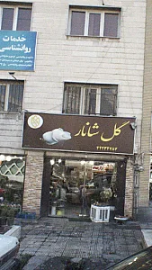 گل شانار