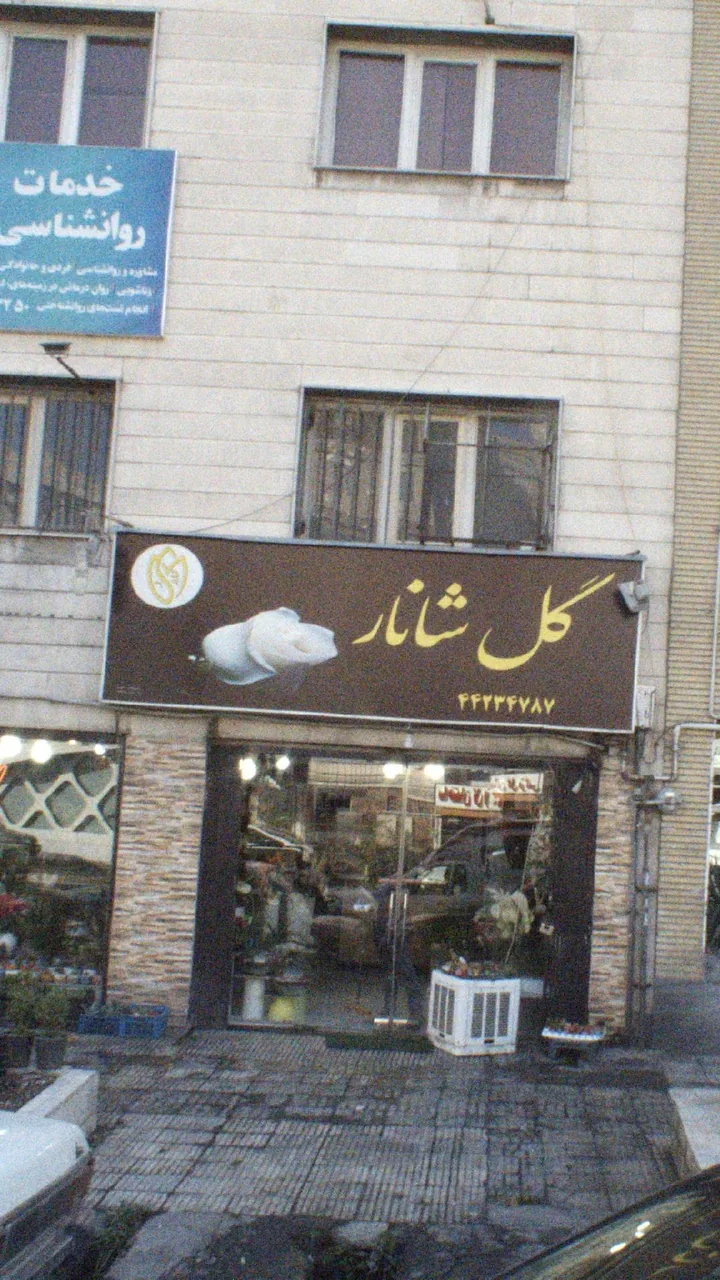 گل شانار