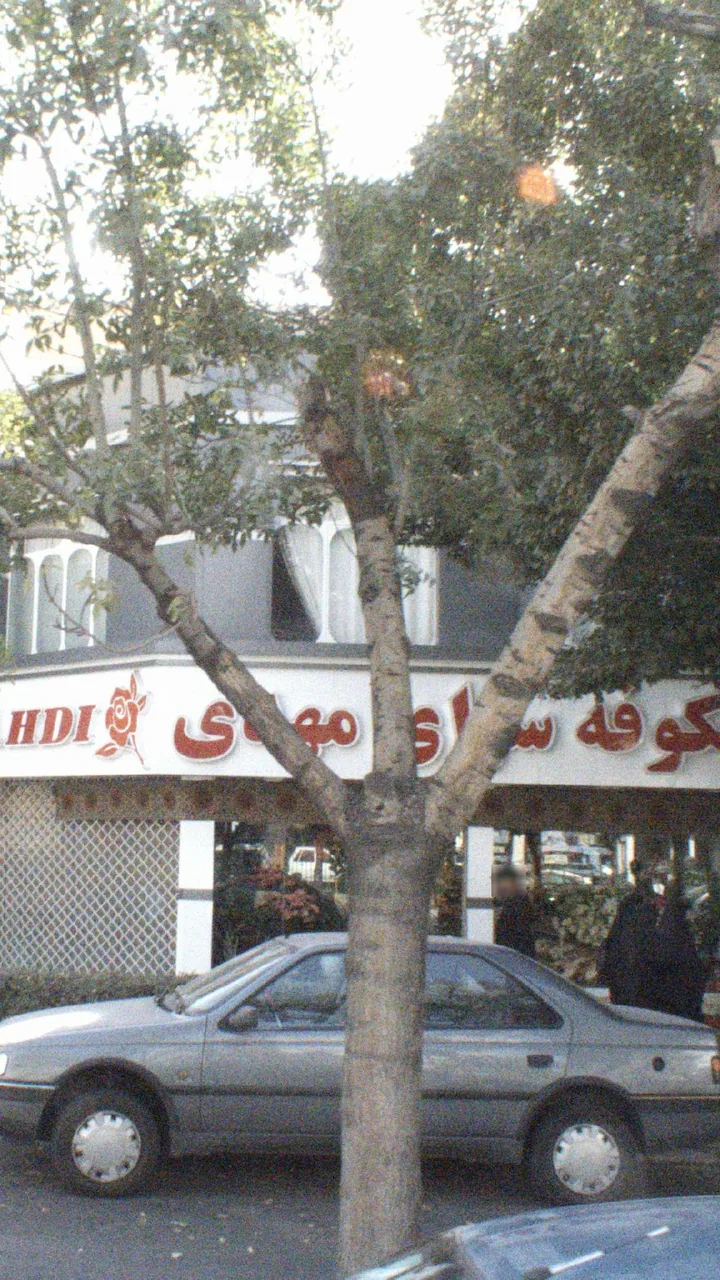 شکوفه سرای مهدی