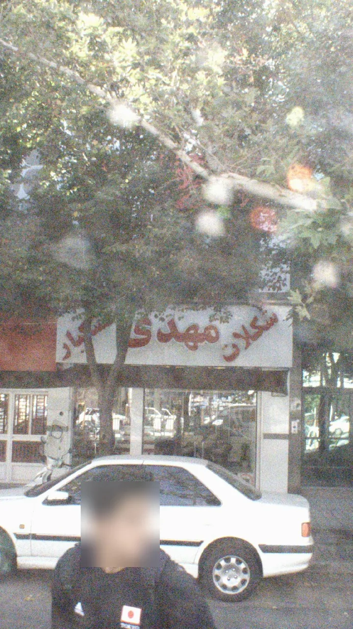 شکوفه سرای مهدی - تصویر 2