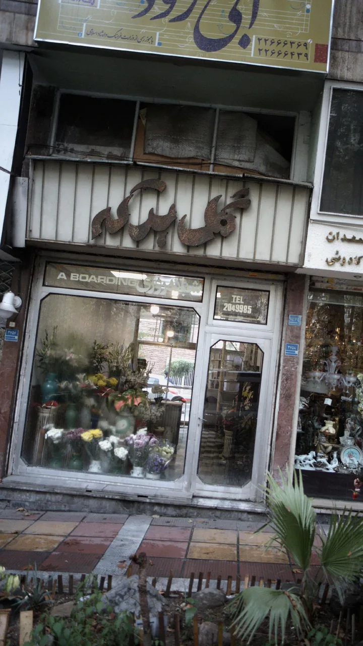 گل برکه