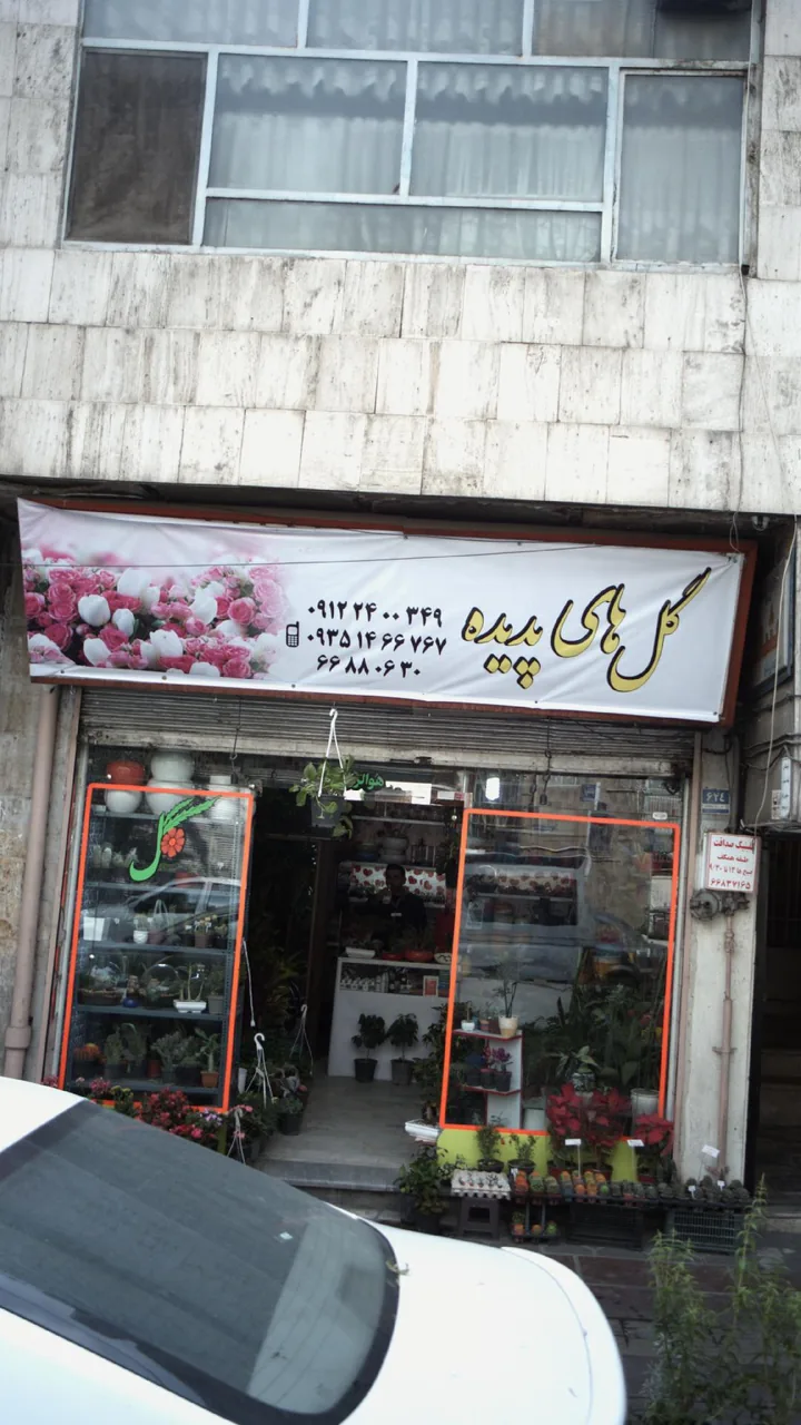 پدیده