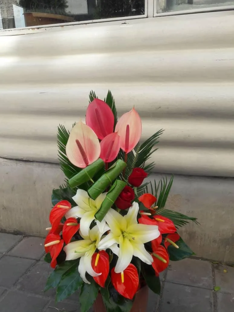 گل فروشی دنیز - تصویر 4